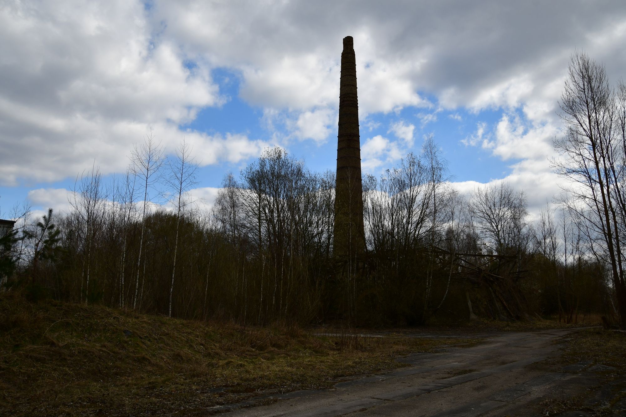 Zehdenicker Ziegeleiweg zur Stadt im Wald (03.04.2022)