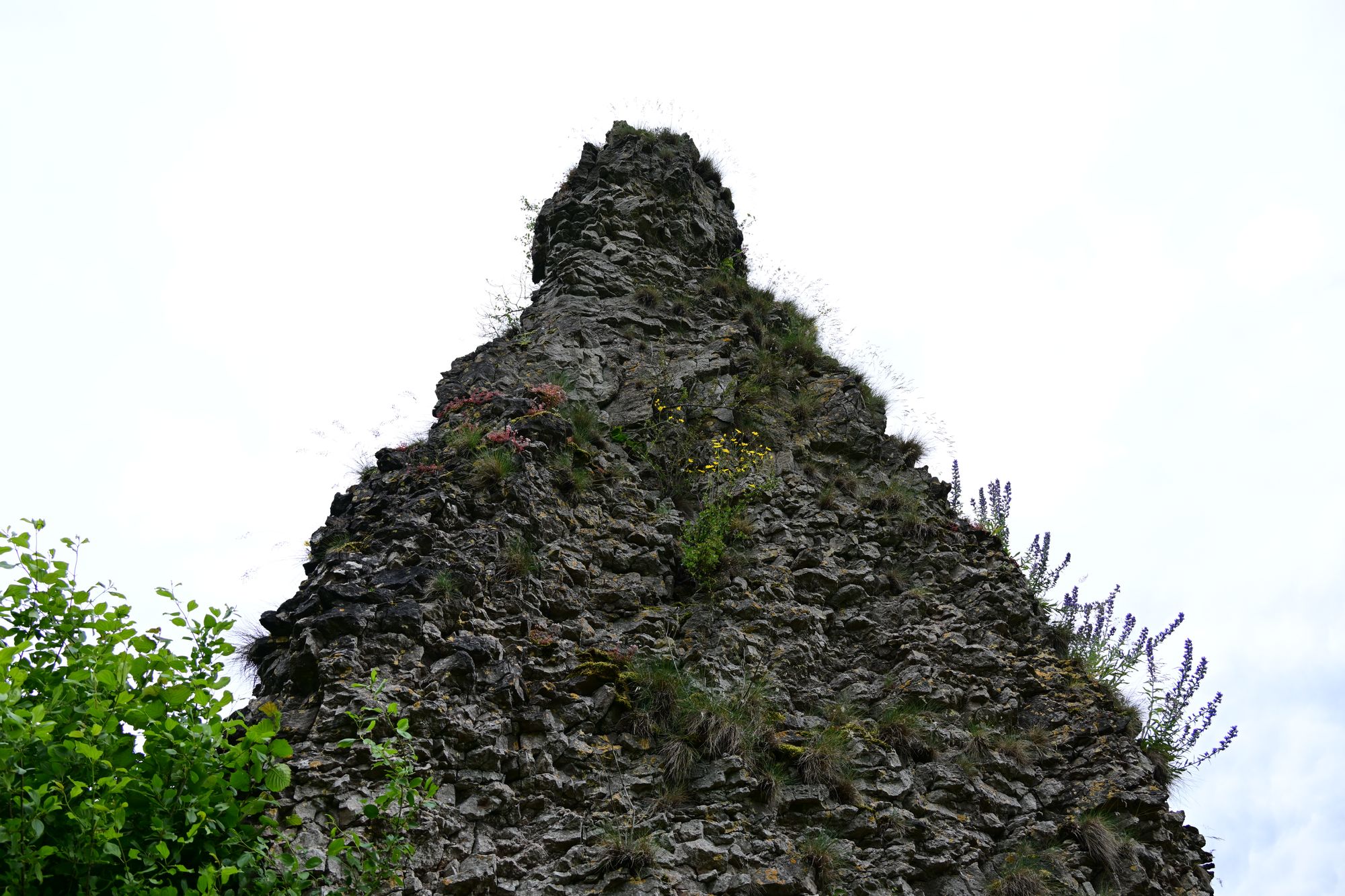 9. Etappe Eifelsteig (Hillesheim nach Gerolstein) 12.6.2024