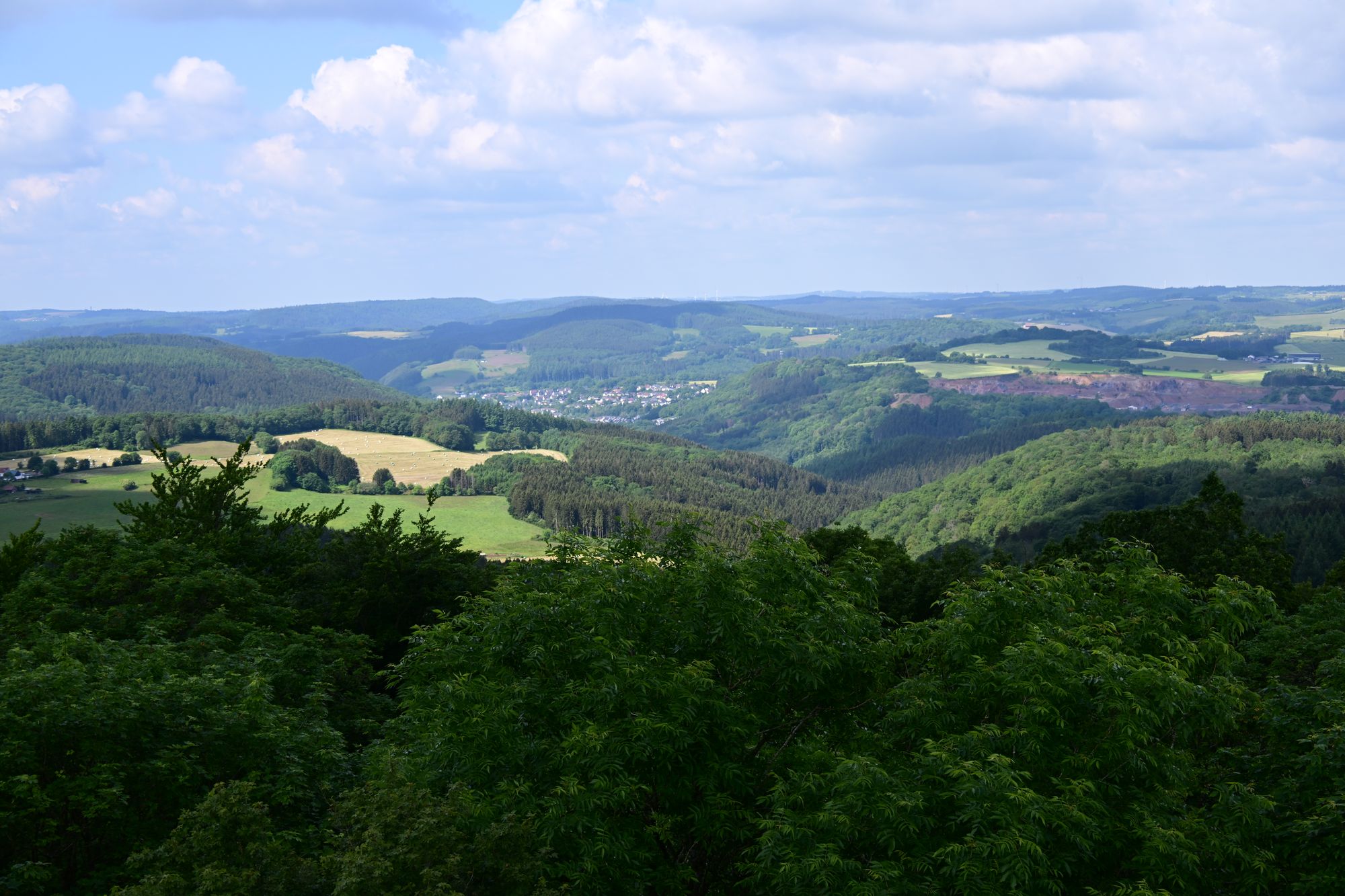 10. Etappe Eifelsteig (Gerolstein nach Daun) 13.6.2024