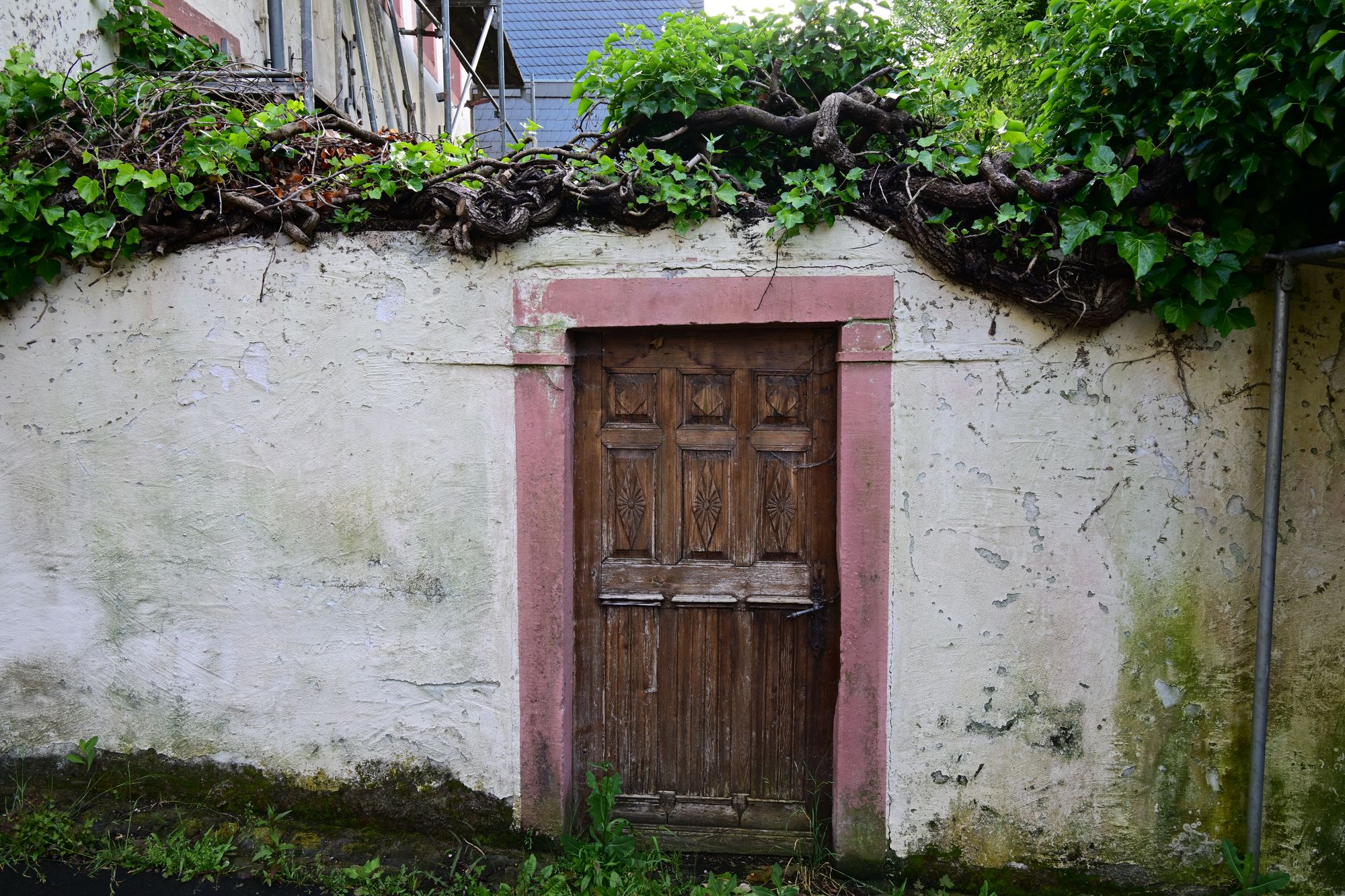 12. Etappe Eifelsteig (Manderscheid nach Kloster Himmerod) 15.6.2024