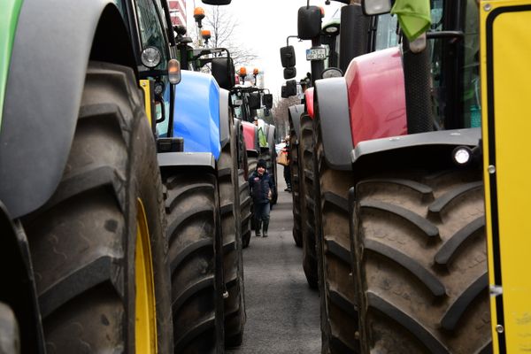 Bauernprotest vor dem Umweltministerium am 27.01.2021