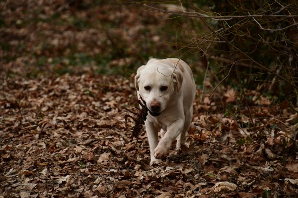 Wanderung rund um Maxen am 28.03.2021