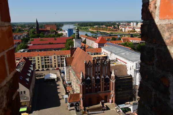 Ausflug Frankfurt/Oder (14.06.2021)