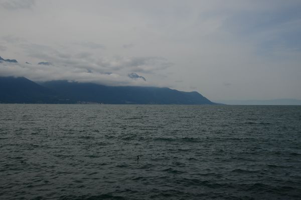 Ausflug nach Montreaux und Schloss Chillon