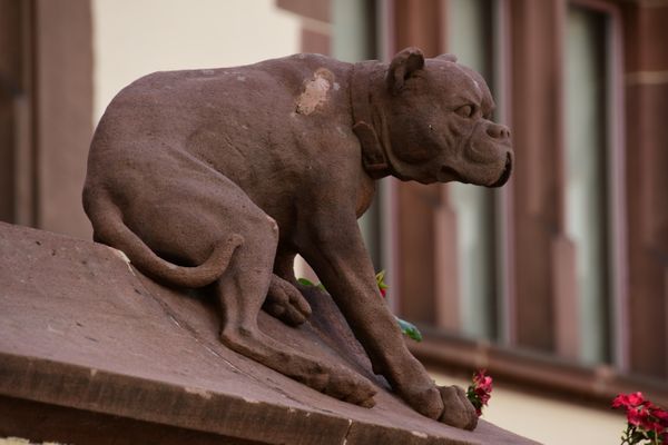 Erste Erkundungstour durch Basel (05.07.2021)