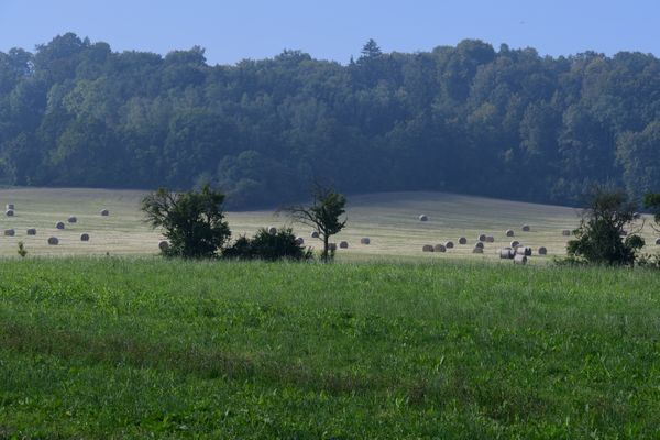 Umgebung von Pößneck in dem Wald (04.09.2021)