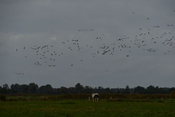 Ausflug in das obere Rhinluch (16.10.2021)