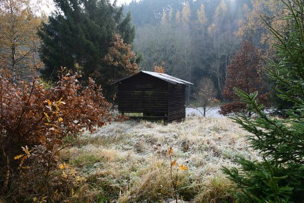 Wanderung nach Burgk (10.11.2021)