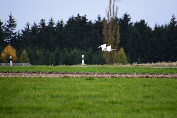 Wanderung zur Saale (08.11.2021)