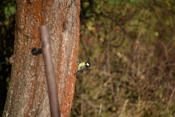 Wanderung in die Orlasenke (09.11.2021)