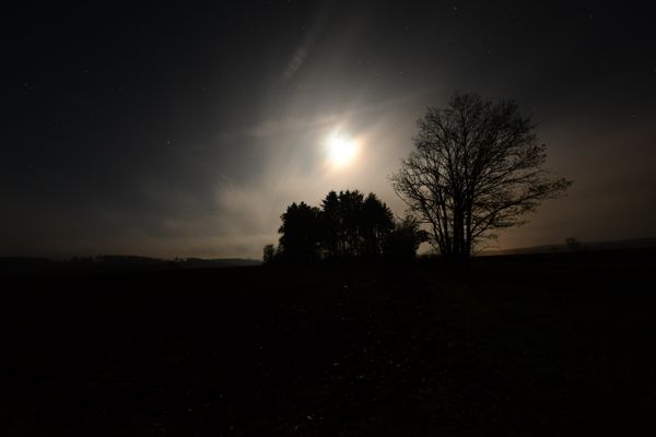 Wanderung nach Ranis und Umgebung (12.11.2021)