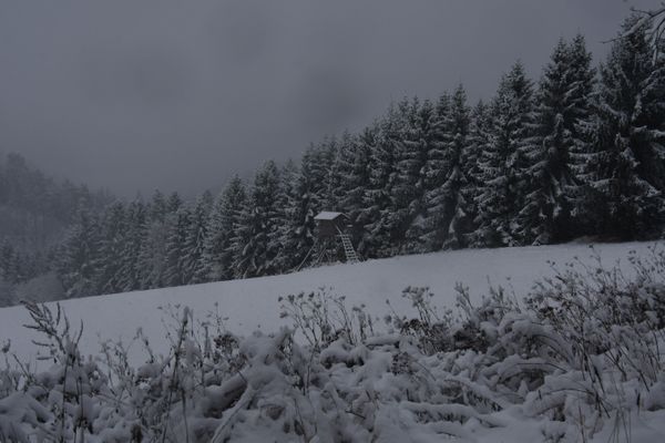 2. Versuch zum Bockfelsen (08.01.2021)