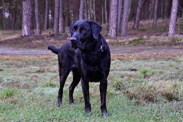 Ausflug mit Winston (30.01.2022)