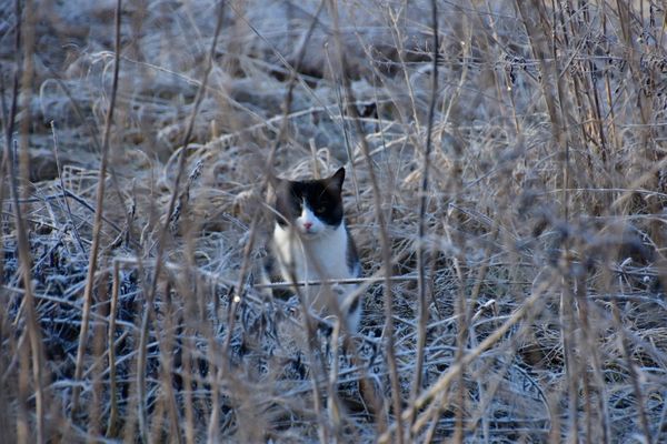 Wanderung Briesewald und viele andere Highlights(12.02.2022)