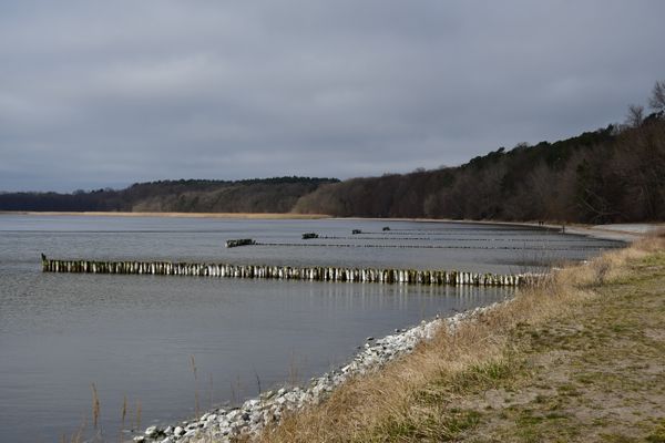 Wanderung nach Kamminke (19.03.2022)