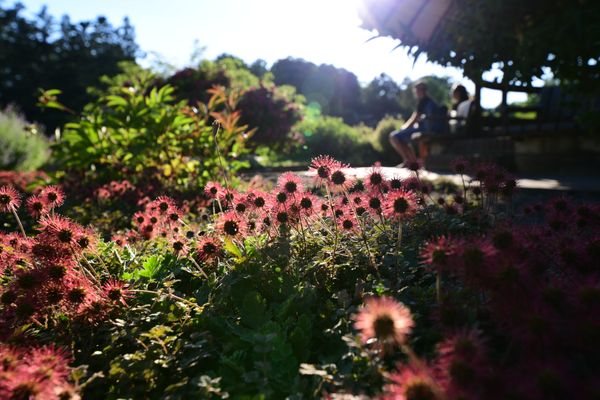 Botanischer Garten Berlin