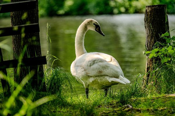 4. Etappe Kammweg - Grünthal, Rübenau nach Pobershau (10.06.2025)